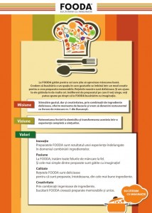 poster_misiune_viziune_valori