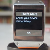 Theft Alert