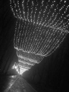 _manuela-boghian-3