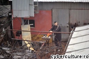 foc1