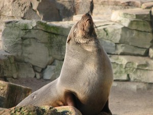 img_5975