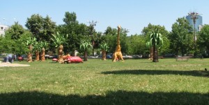 img_7025-640x480