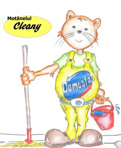 motanelul-cleany
