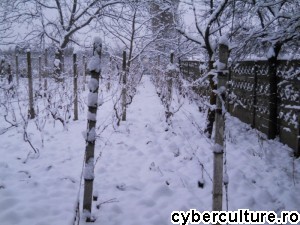 via